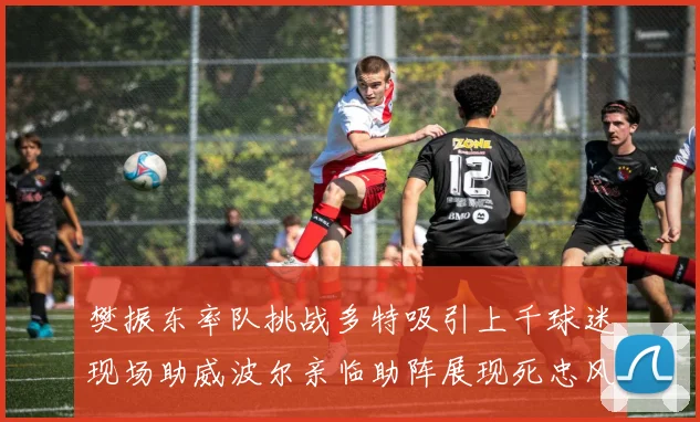 樊振东率队挑战多特吸引上千球迷现场助威波尔亲临助阵展现死忠风采