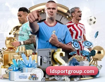 乐动足球 APP(LDSPORTS)